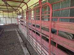 Heavy Duty Cattle Trailer