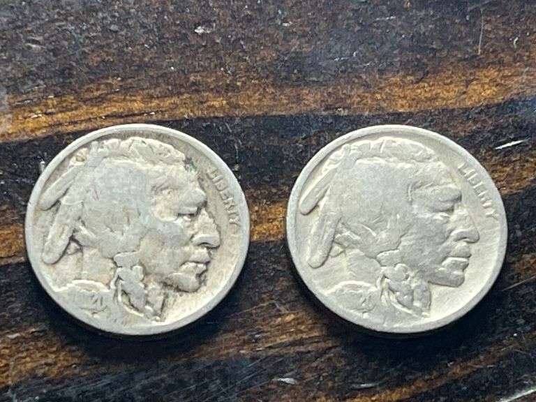 (2) 1920 Buffalo Nickels