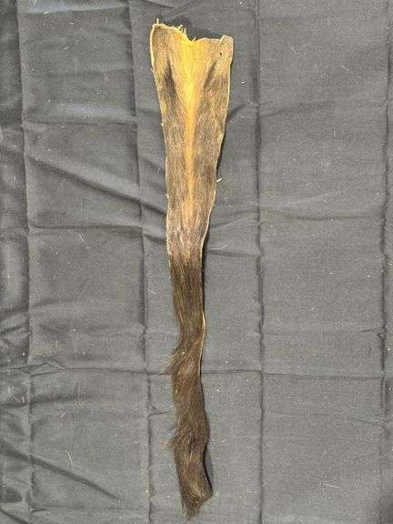 Taxidermy Tail image