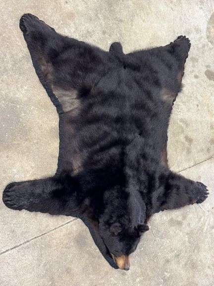 Black Bear Rug image