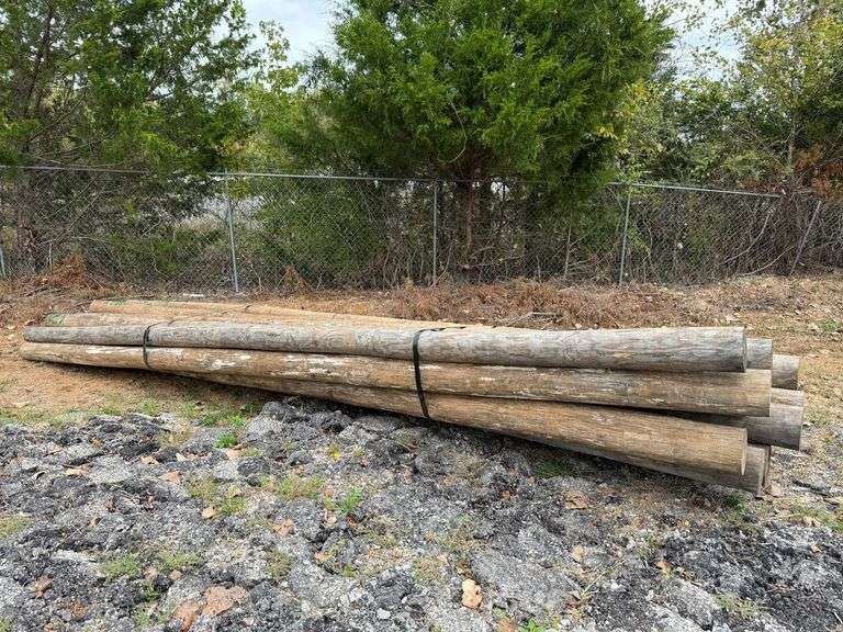 Untreated Wood Posts image