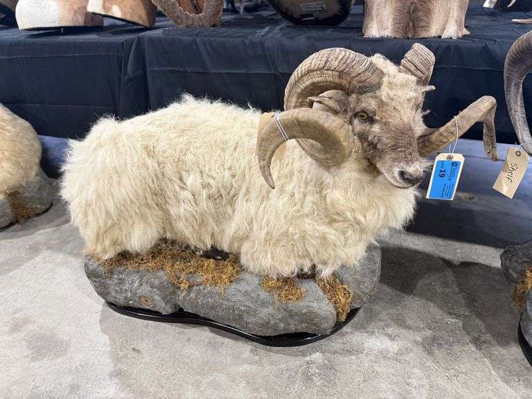 Ram Full Mount on Realistic Habitat Base image