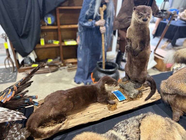 River Otters on Realistic Habitat Base image