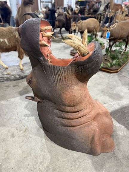 Hippopotamus Fiberglass Replica Shoulder Mount image