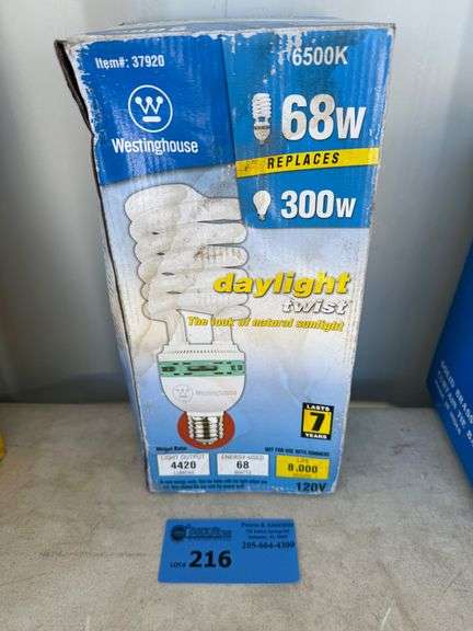 Westinghouse Compact Fluorescent Light Bulb image