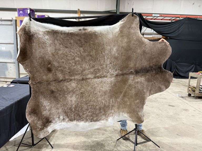 Cow Hide image