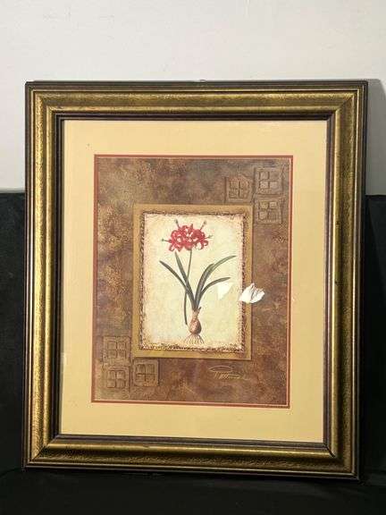 Framed Botanical Print of Amaryllis Flower with Bulb image