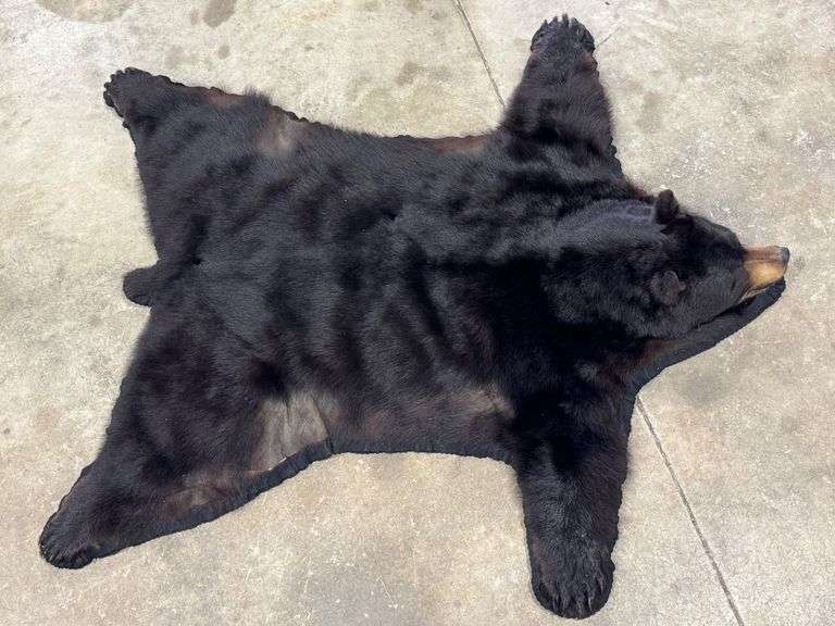 Black Bear Rug image