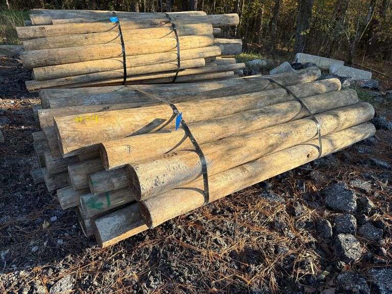 Untreated Wood Posts image