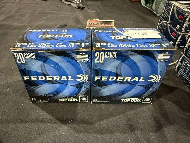 Federal 20 Ga - (2) Boxes of 25 image