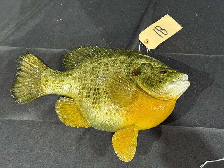 Five Pound Shell Cracker Fiberglass Replica image