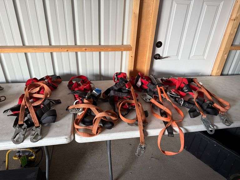 (5) Protector Harness with Double Lanyard image