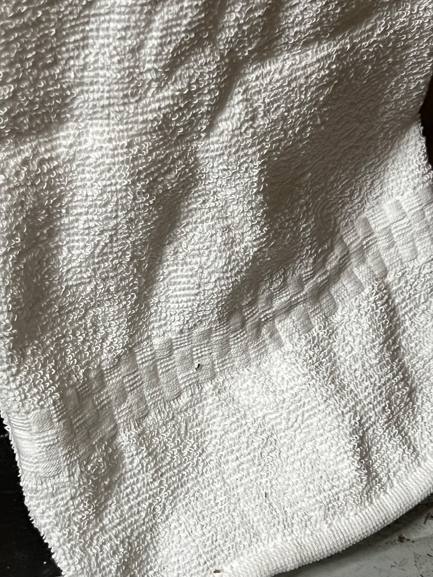 Lot image 3