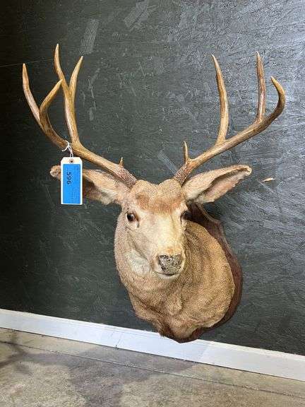 Deer Mount image