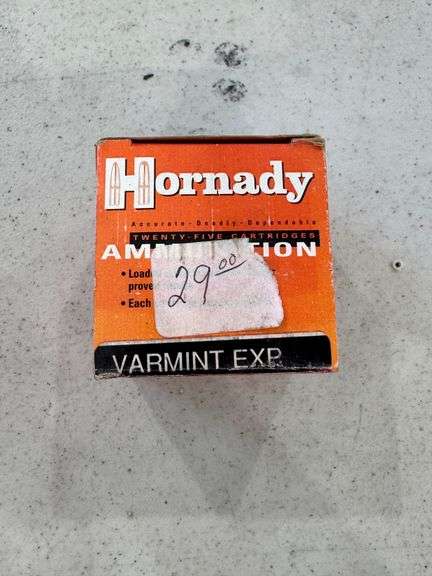 Hornady 223 REM Ammo - 1 Box of 25 image