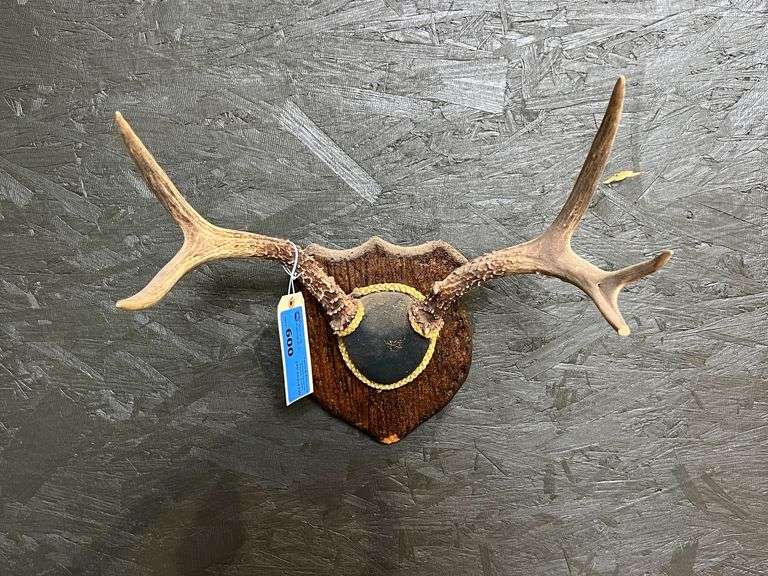Antler Mount image