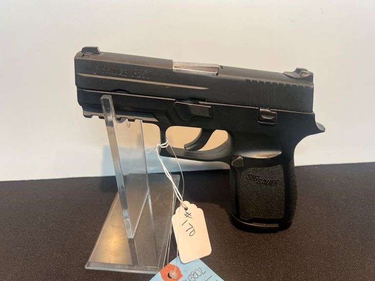 Sig Sauer P250 40S&W Pistol image