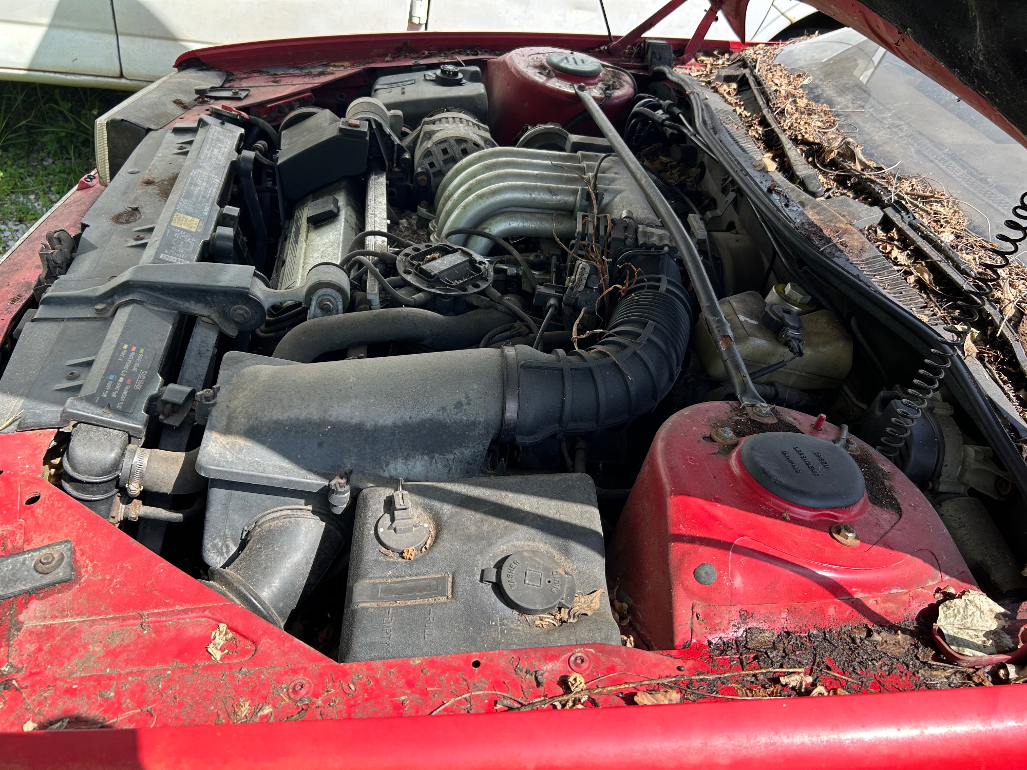 Lot image 15