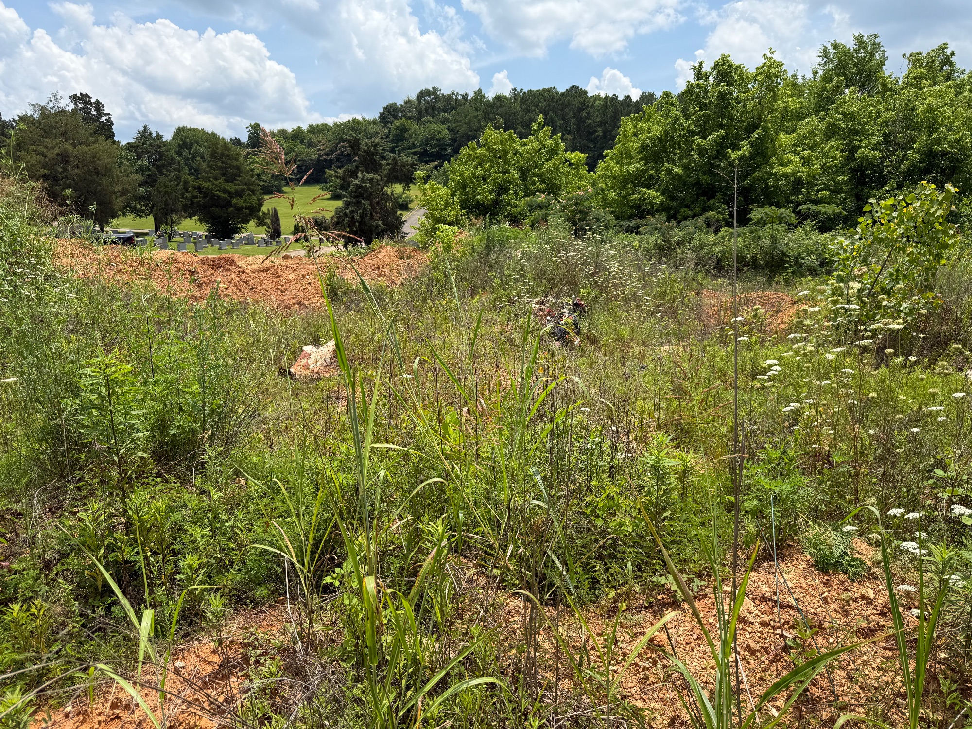 Lot image 7