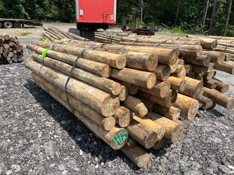 Untreated Wood Posts - Qty: 44