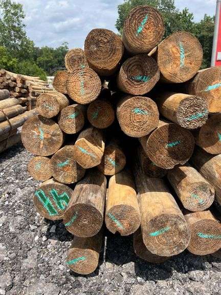 Untreated Wood Posts - Qty: 44
