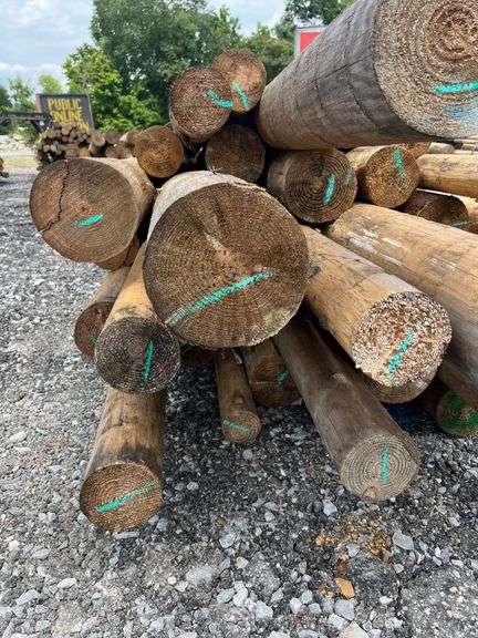 Untreated Wood Posts - Qty: 43