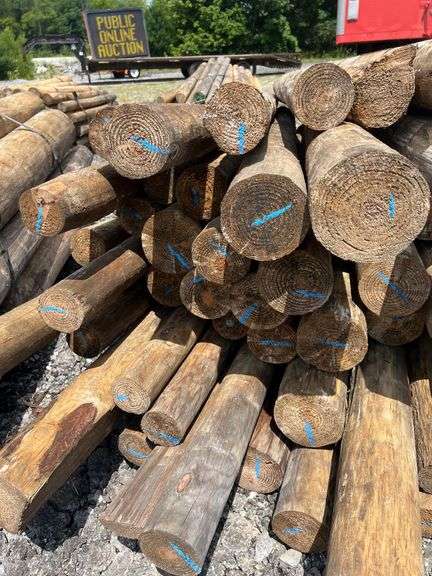 Untreated Wood Posts - Qty: 52