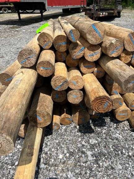 Untreated Wood Posts - Qty: 63