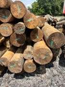 Untreated Wood Posts - Qty: 44