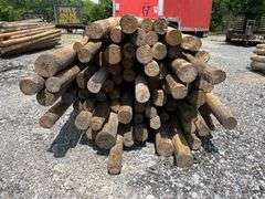 Untreated Wood Posts - Qty: 79