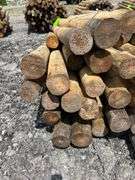 Untreated Wood Posts - Qty: 46