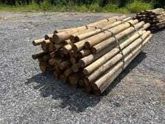 Untreated Wood Posts - Qty: 63