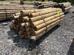 Untreated Wood Posts - Qty: 60 Posts