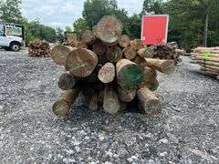 Untreated Wood Posts - Qty: 43