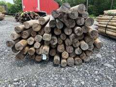 Untreated Wood Posts - Qty: 92