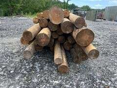 Untreated Wood Posts - Qty: 43