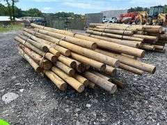 Untreated Wood Posts - Qty: 68