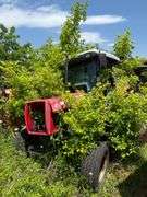 Massey Ferguson 593 Enclosed Cab Tractor with Side Arm Cutter