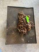 Rolling Table and Chain