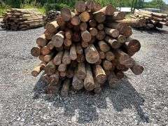 Untreated Wood Posts - Qty: 79