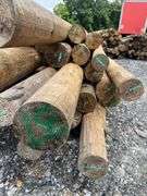 Untreated Wood Posts - Qty: 43