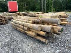 Untreated Wood Posts - Qty: 43