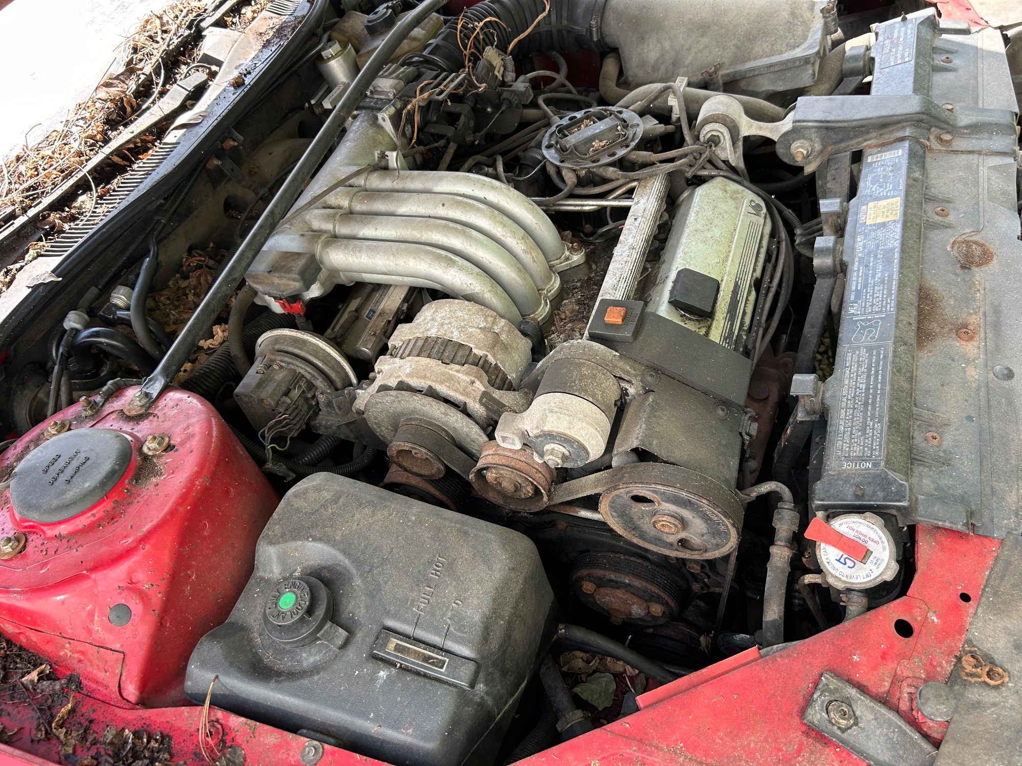 Lot image 14