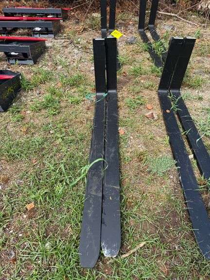 Pair - Forks image
