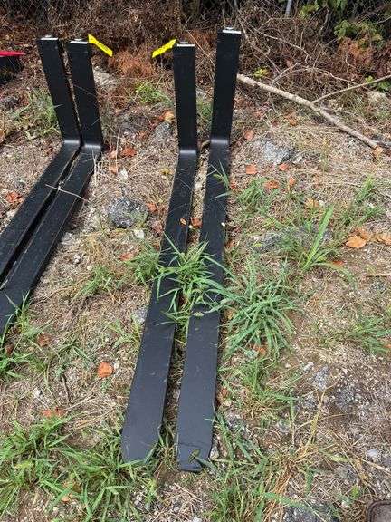 Pair - Forks image