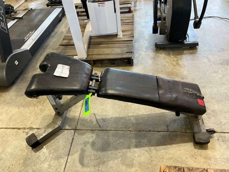 Nautilus Decline Bench image