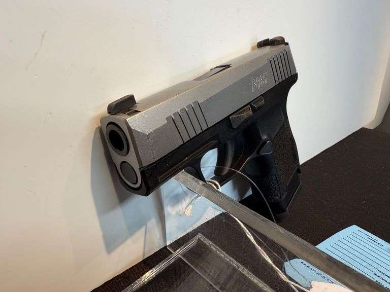 Sig Sauer P365 Pistol