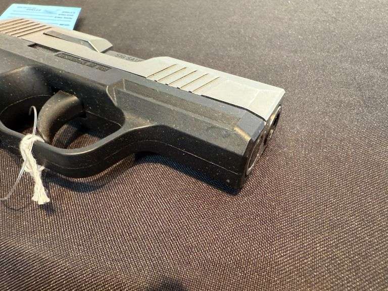 Sig Sauer P365 Pistol