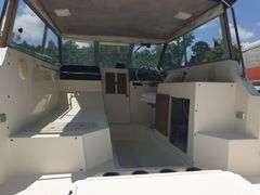 1986 Bayline Hardtop Trophy