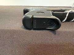 Ruger LCP Pistol